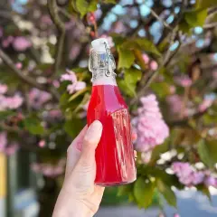En hand håller en flaska med rosa rabarbersirap framför en blommande körsbärsträd.