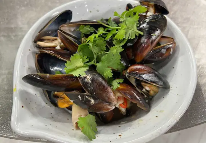 En skål med ångade musslor, garnerade med färsk koriander. Perfekt för ett enkelt musslor recept.
